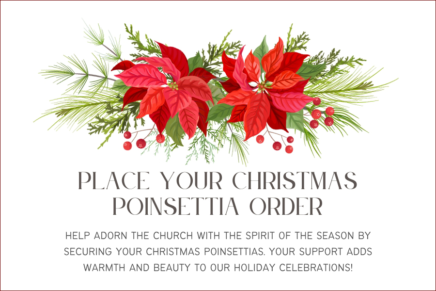 Order Christmas Poinsettias